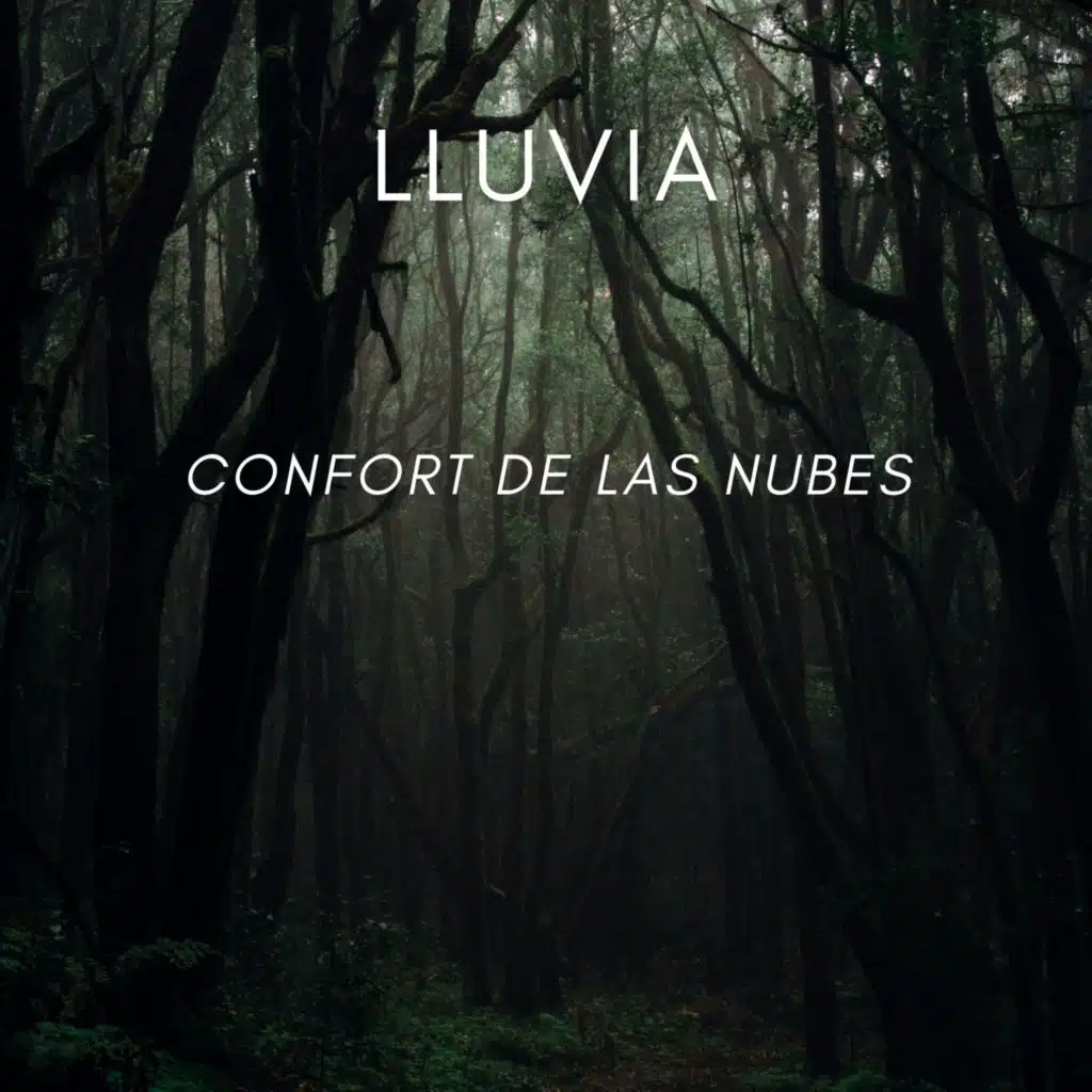 Lluvia: Confort De Las Nubes