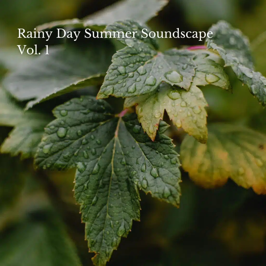 Rainy Day Summer Soundscape Vol. 1