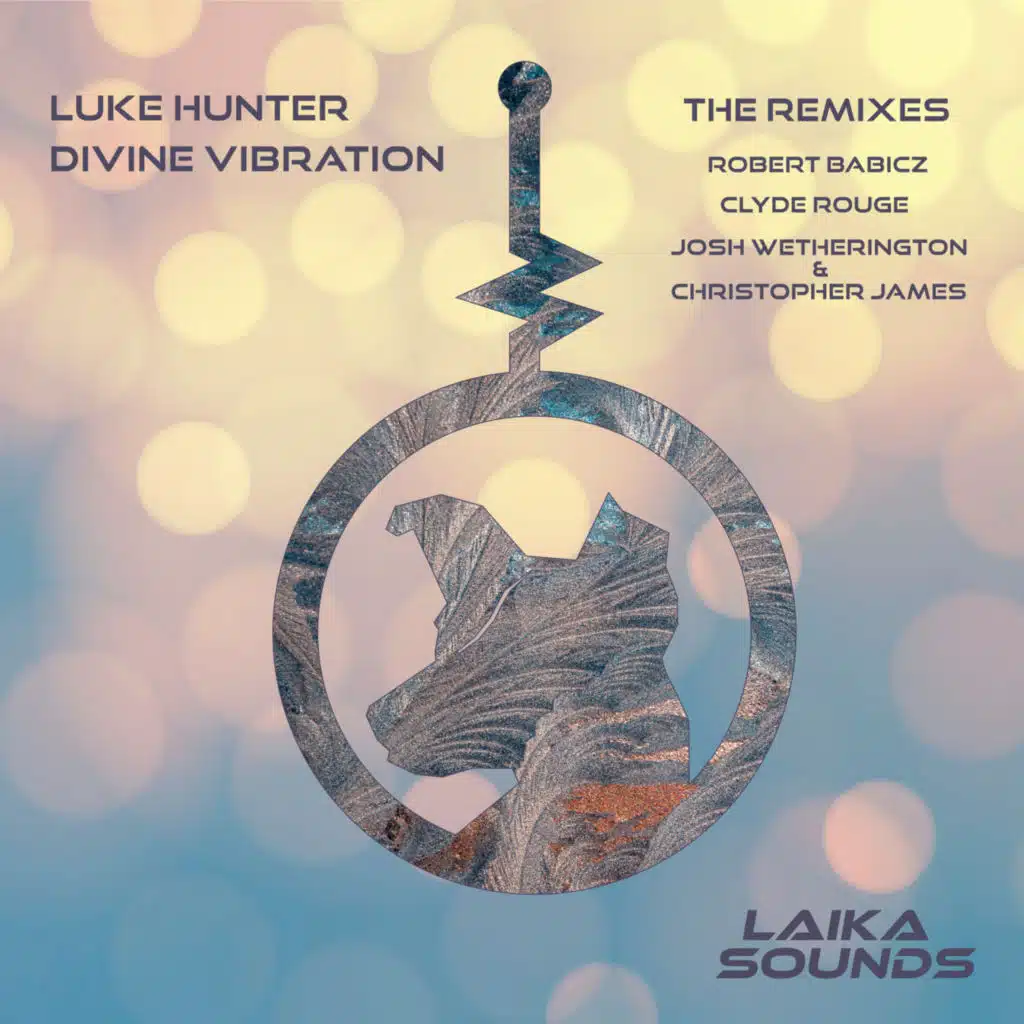 Divine Vibration Remixes (feat. Robert Babicz & Clyde Rouge)