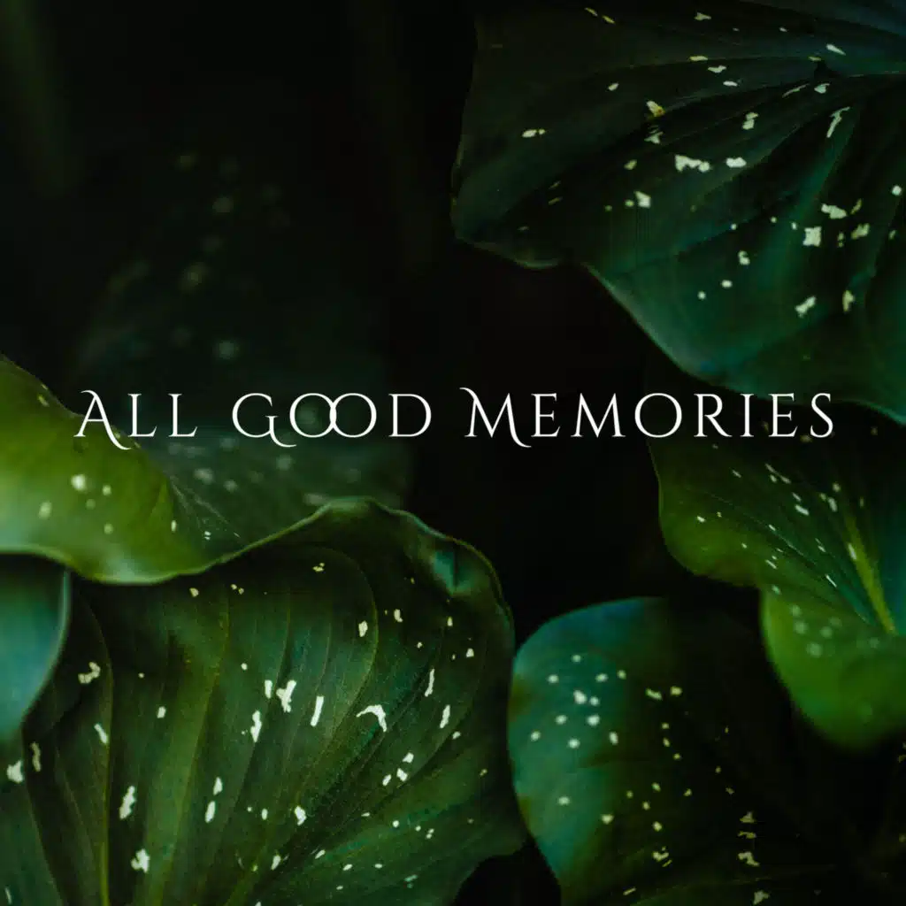 Soothing Memories