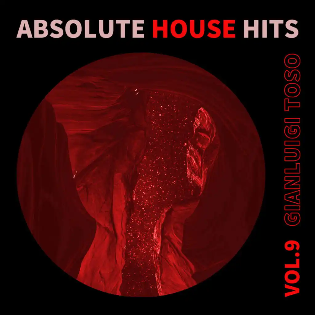 Gianluigi Toso - Absolute House Hits Vol.9