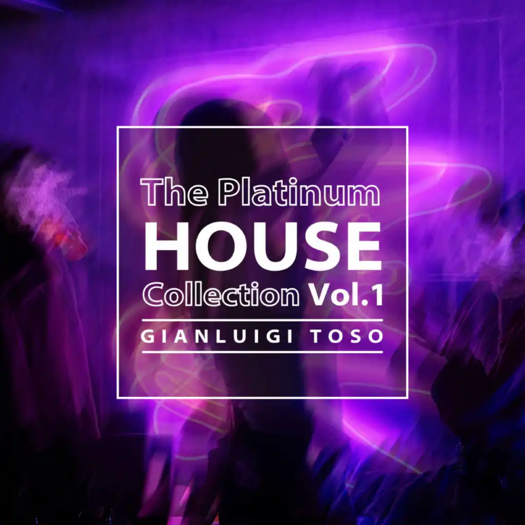Gianluigi Toso - The Platinum House Collection Vol.1