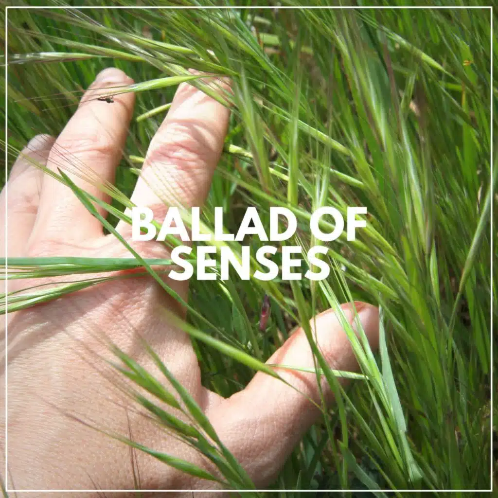 Ballad of Senses
