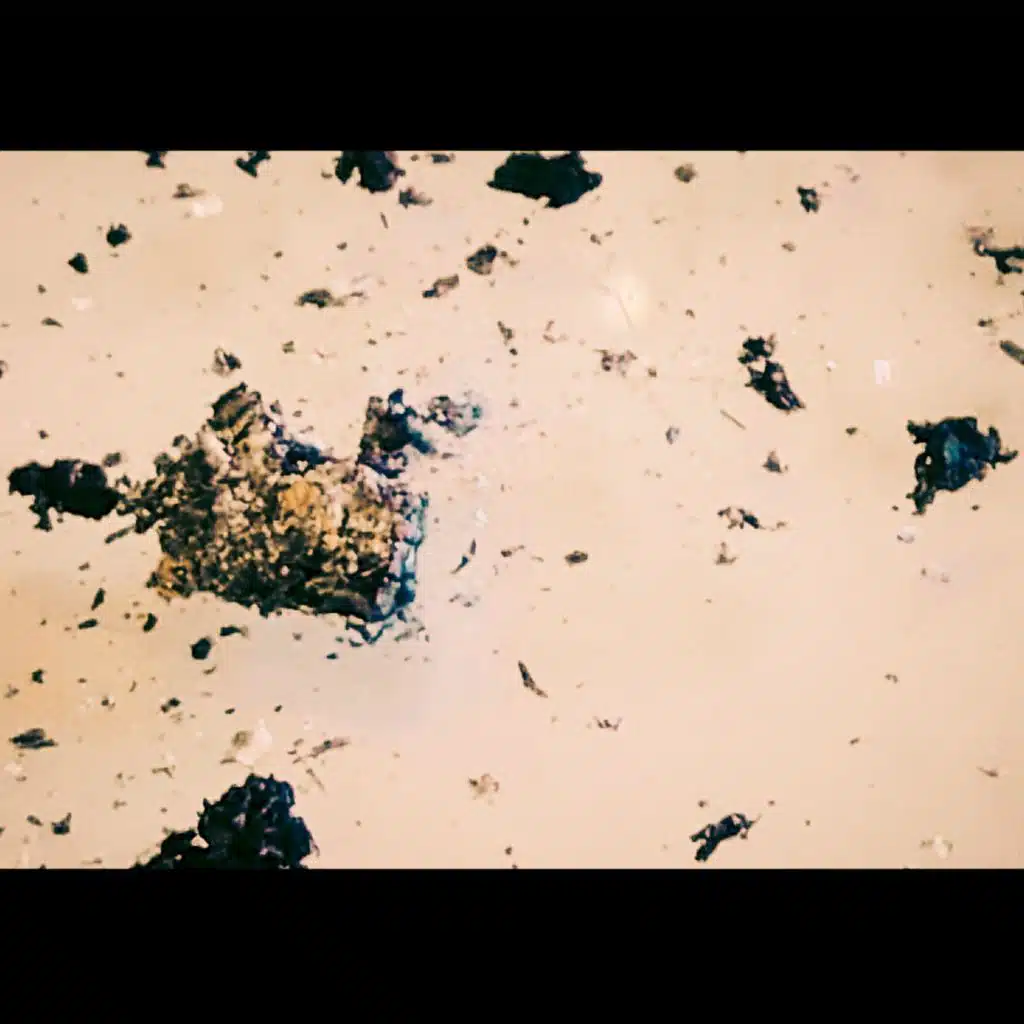 Set Your Heels on Fire