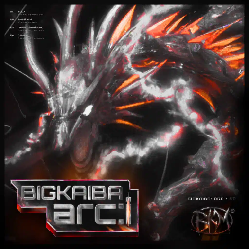 BIGKAIBA: ARC 1