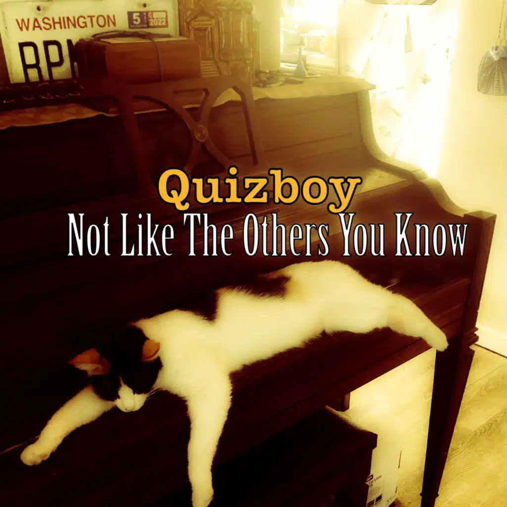 Quizboy