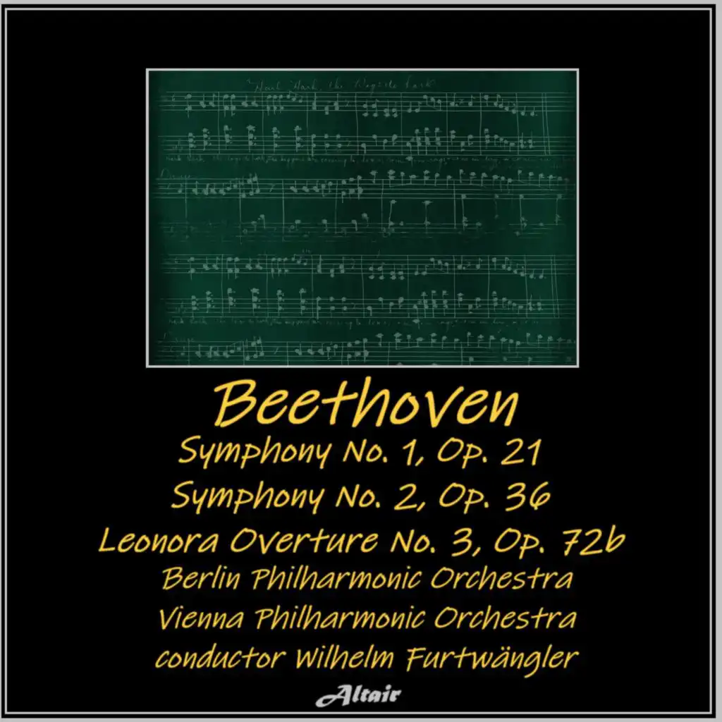 Symphony NO. 2 in D Major, Op. 36: II. Larghetto