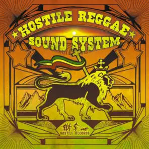 hostile reggae sound system