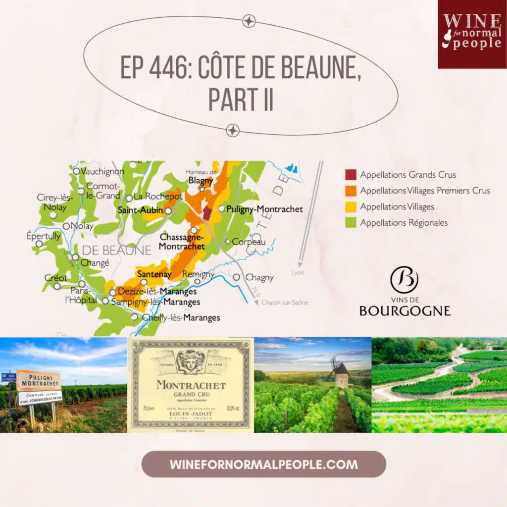 Ep 446: Côte de Beaune of Bourgogne (Burgundy), Part 2