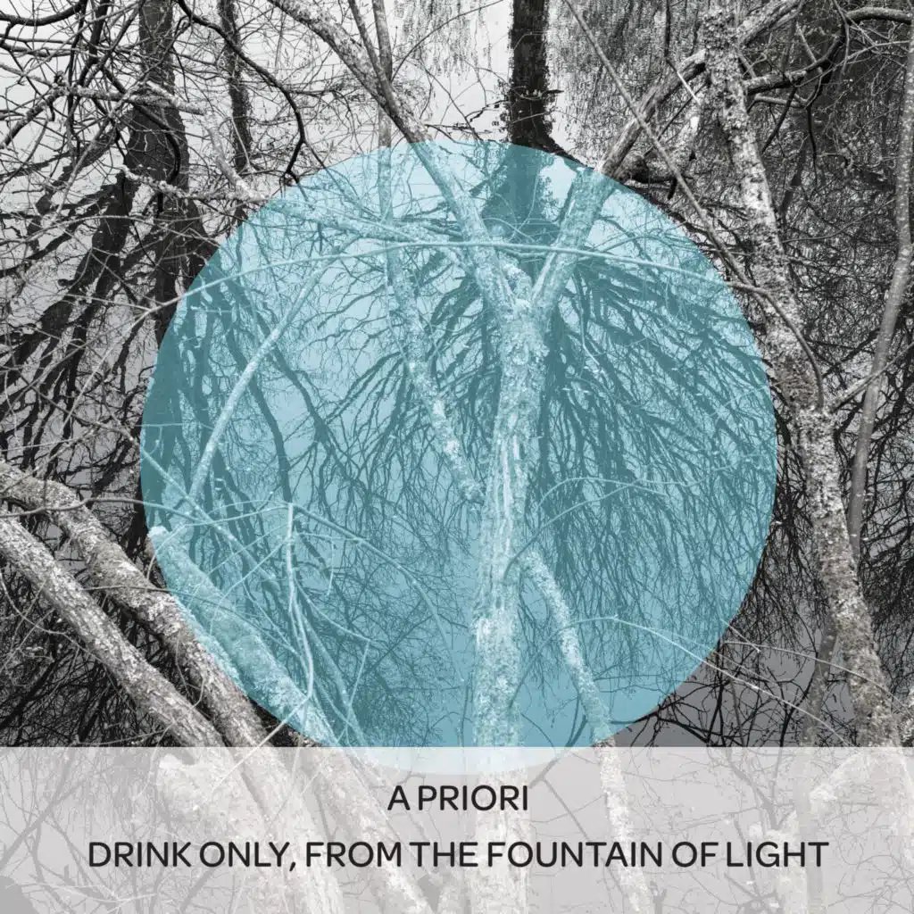 Drink Only, From the Fountain of Light (feat. Paul Cheneour, Benedict Taylor, David Leahy, Izolda Reeder & Maureen Wolloshin)