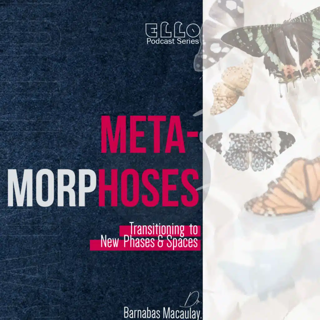 Metamorphoses- Transitioning to new phases and spaces