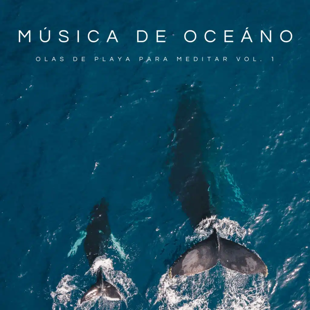 Música De Oceáno: Olas De Playa Para Meditar Vol. 1