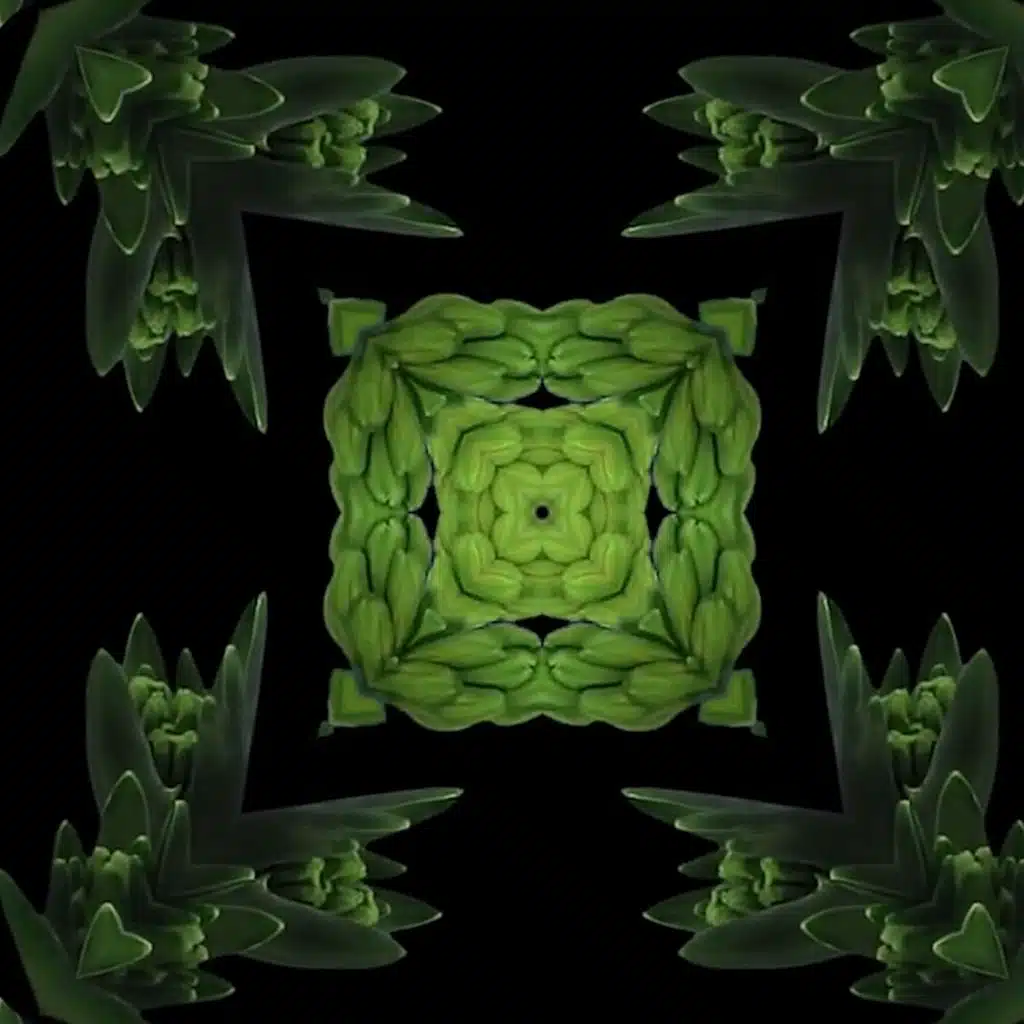 Electronic Explorations Vol.1