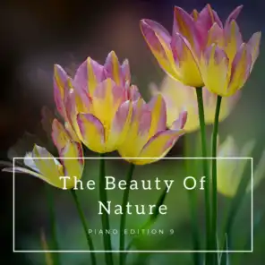 The Beauty of Nature (Piano Edition 9)