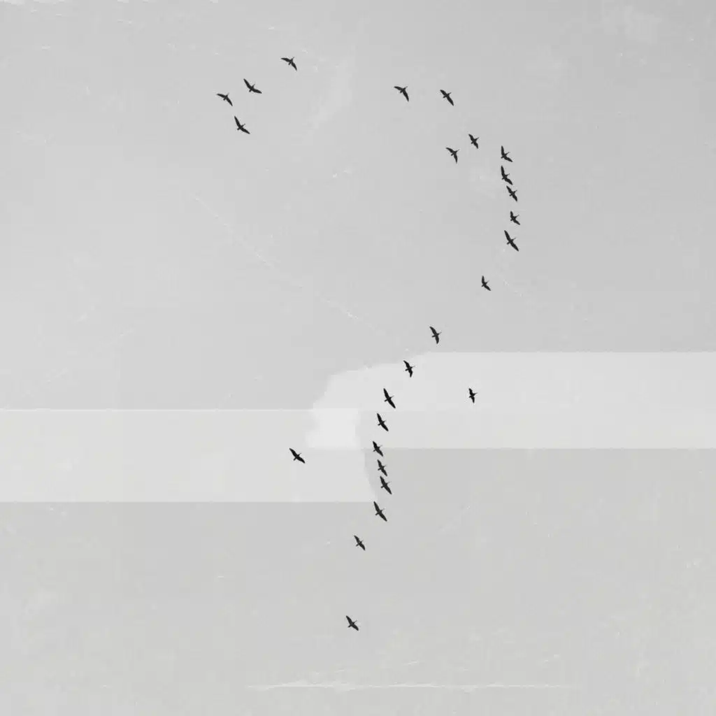 Mình Là Của Nhau Đến Bao Giờ