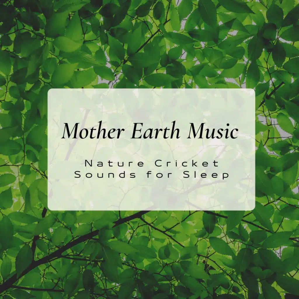 Mother Earth Music - Nature Cricket Sounds for Sleep