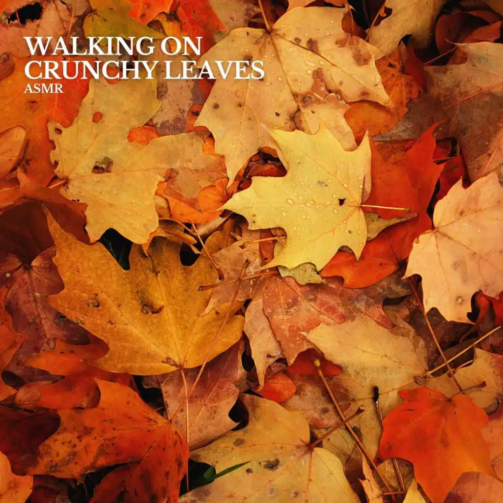 Walking on Crunchy Leaves Asmr