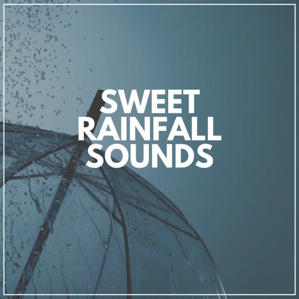 The Nature Soundscapes & Rainfall Place