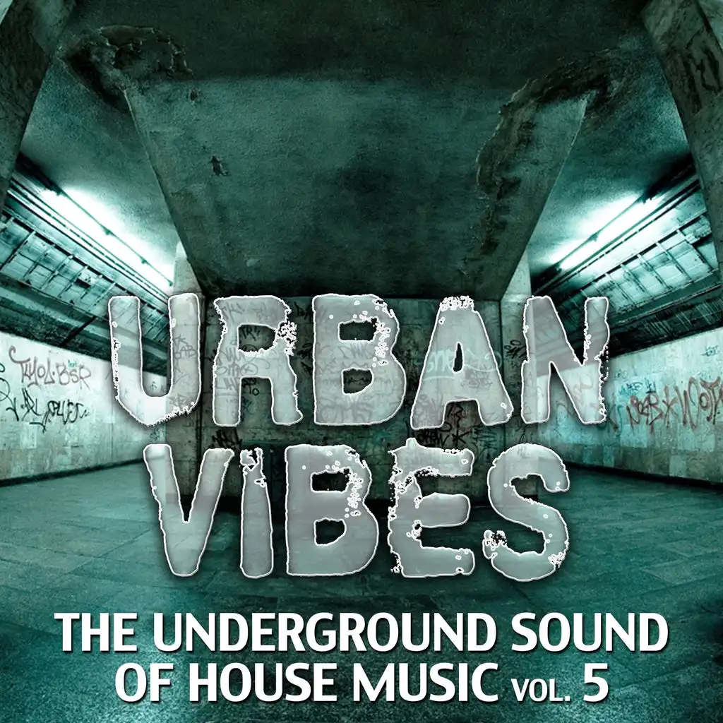 Urban Vibes - The Underground Sound of House Music, Vol. 5