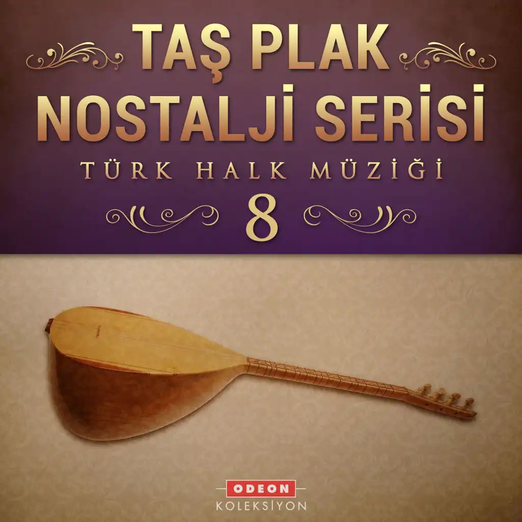Taş Plak Nostalji Serisi, Vol. 8 (Türk Halk Müziği)