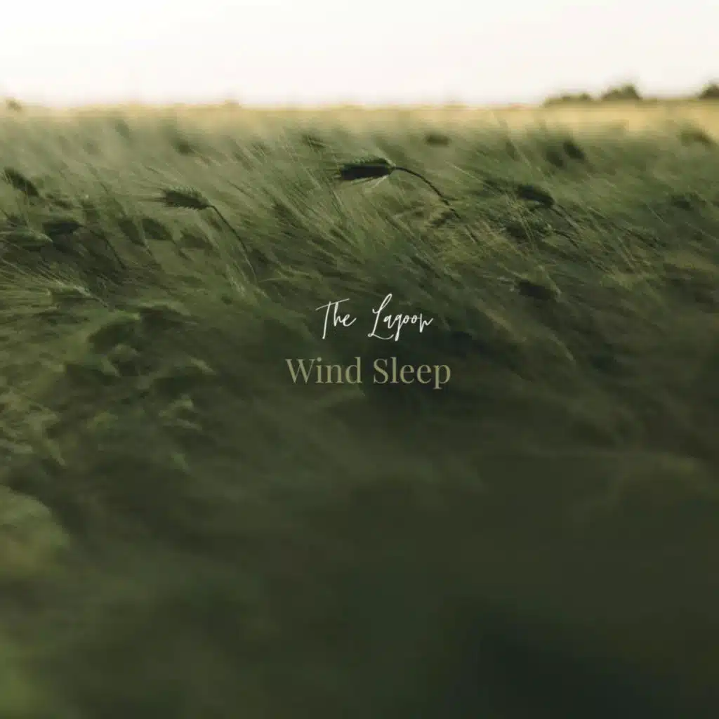Wind Sleep