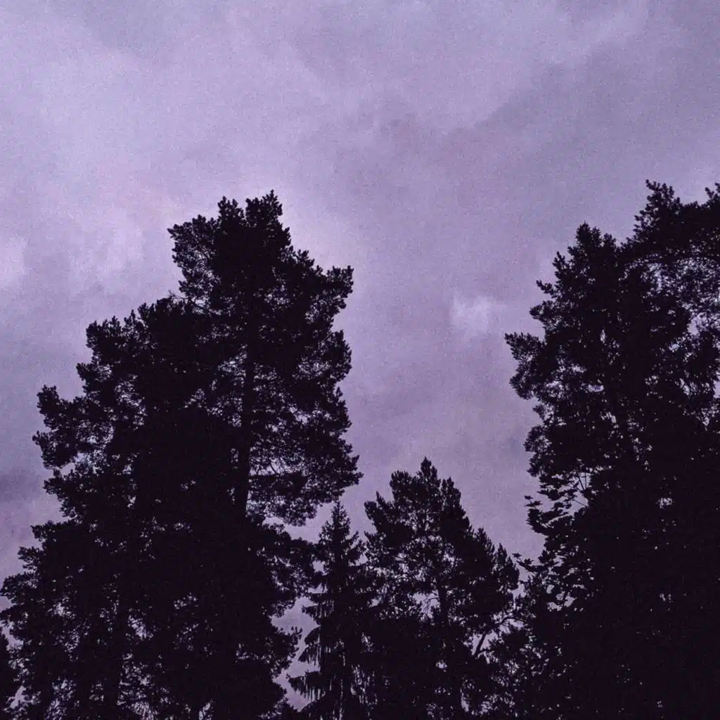 Nessi on nyt hiukan väsynyt