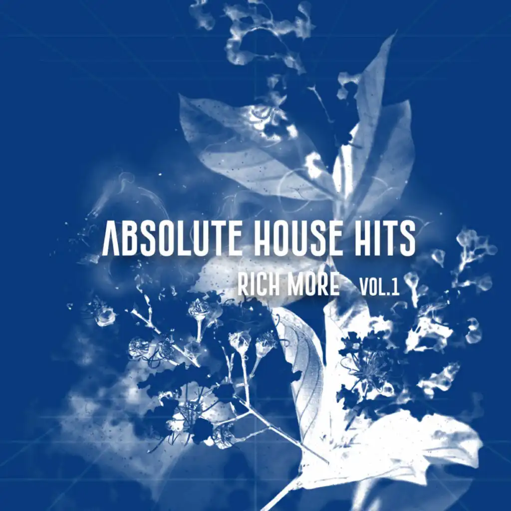 RICH MORE - Absolute House Hits Vol.1