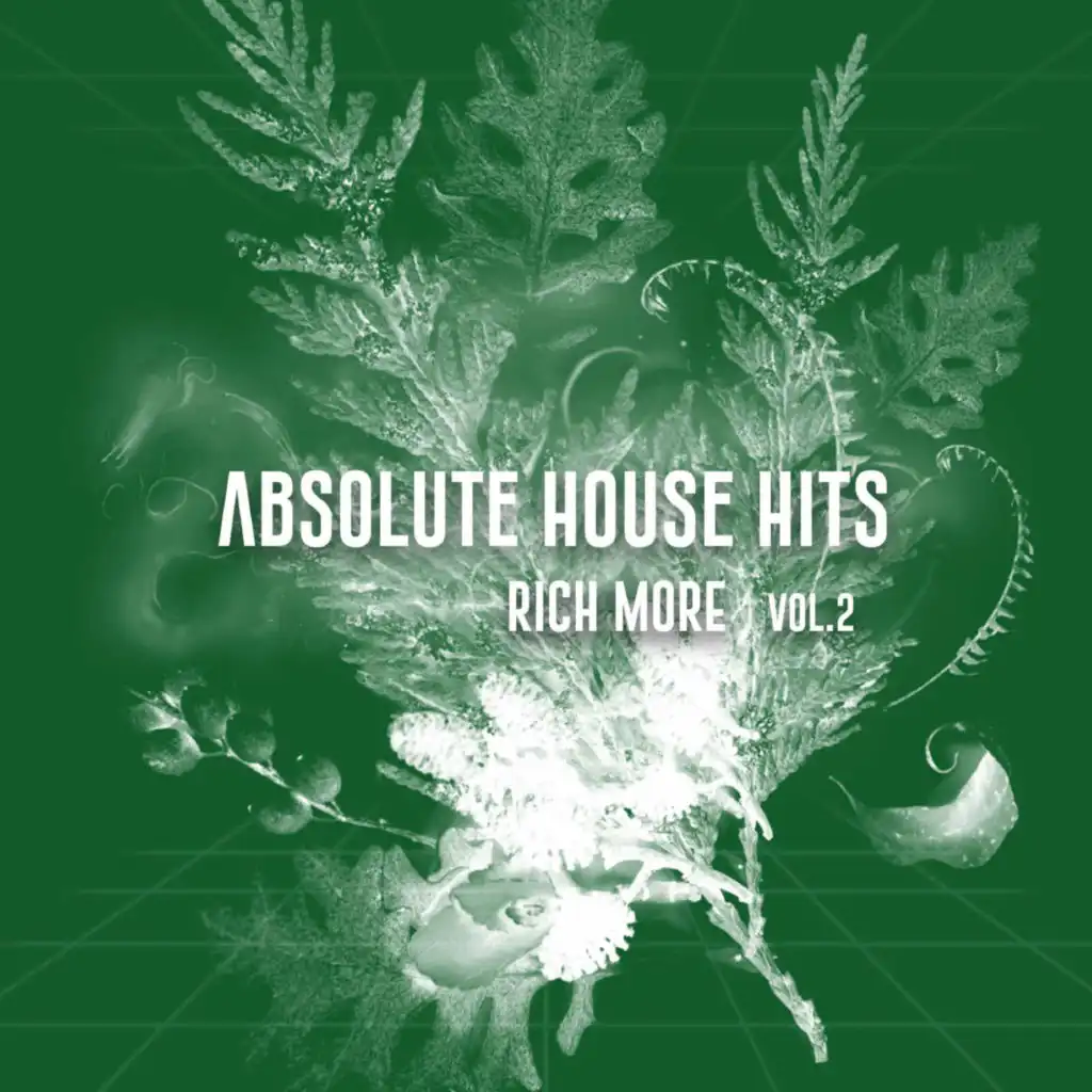 RICH MORE - Absolute House Hits Vol.2