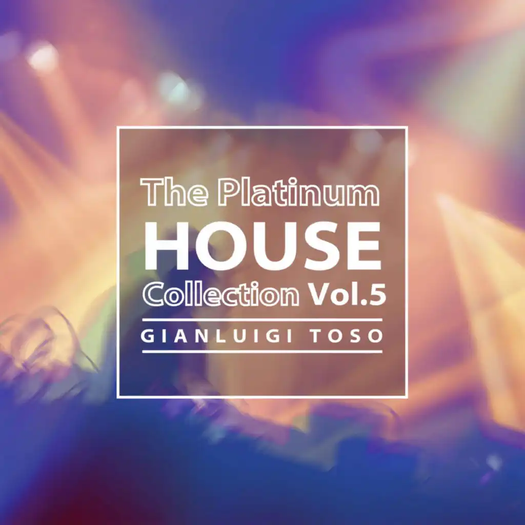Gianluigi Toso - The Platinum House Collection Vol.5