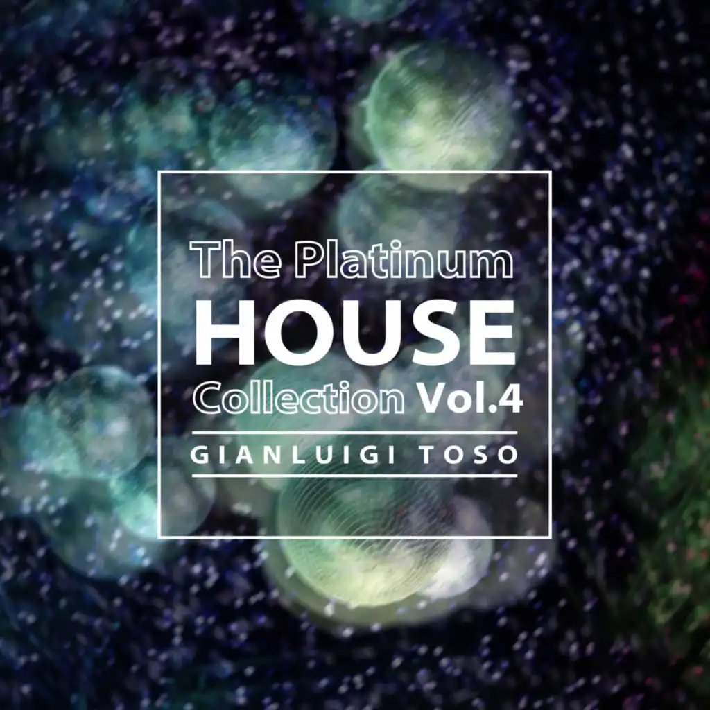 Gianluigi Toso - The Platinum House Collection Vol.4