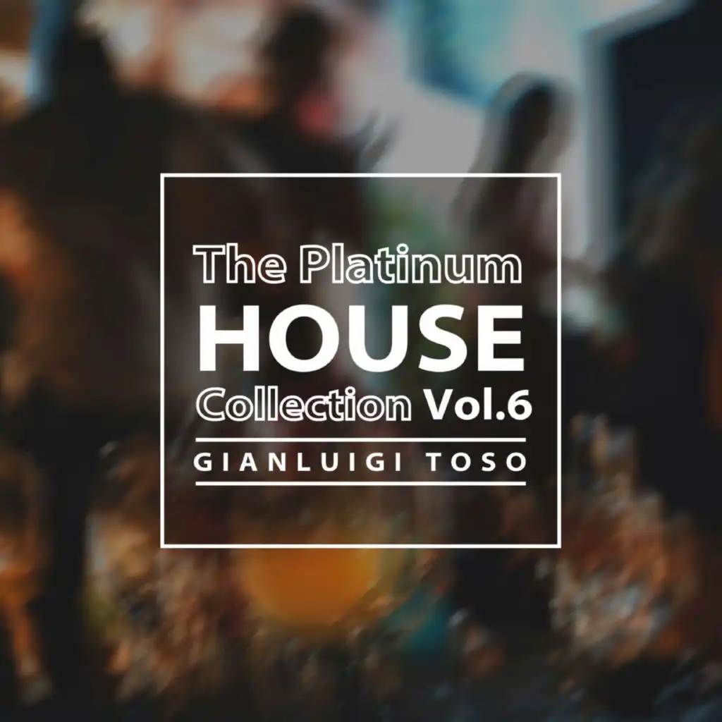 Gianluigi Toso - The Platinum House Collection Vol.6