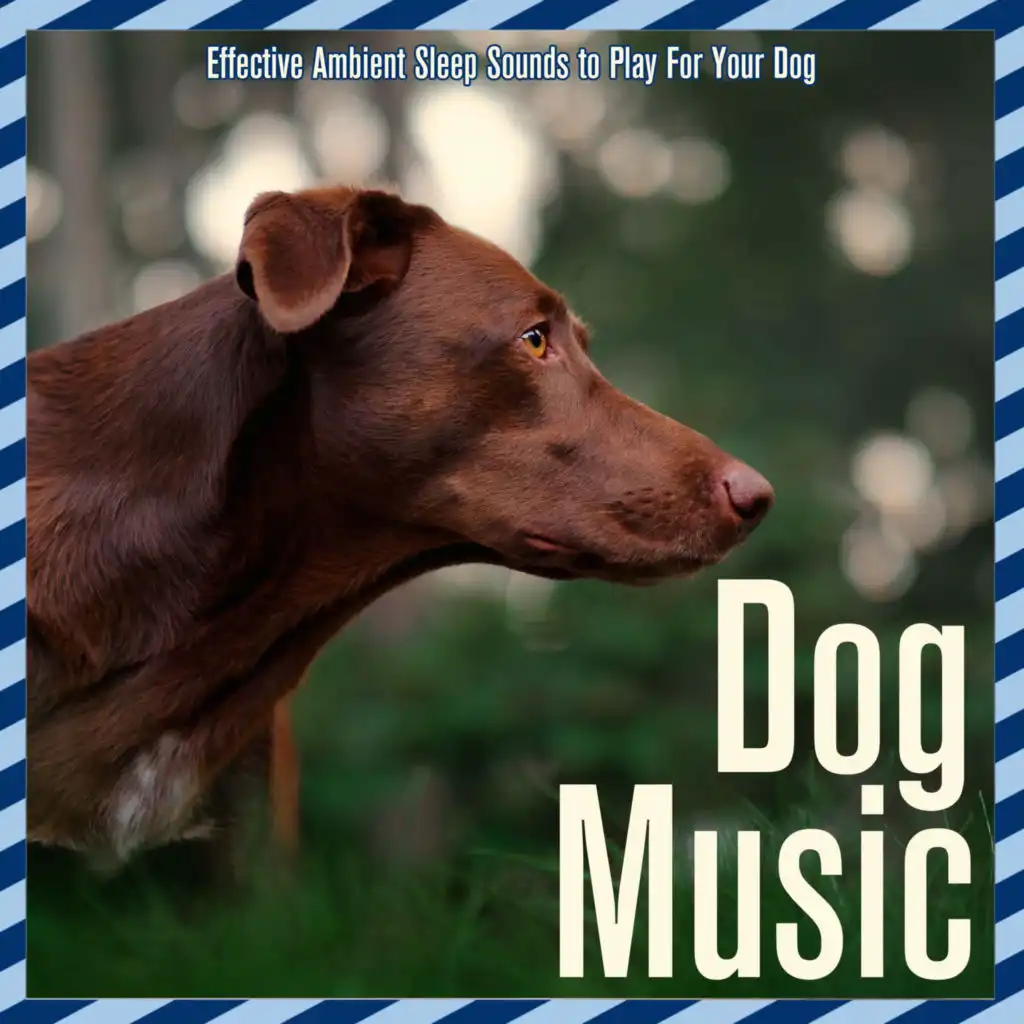 Dog Music: Effective Ambient Sleep Sounds to Play For Your Dog