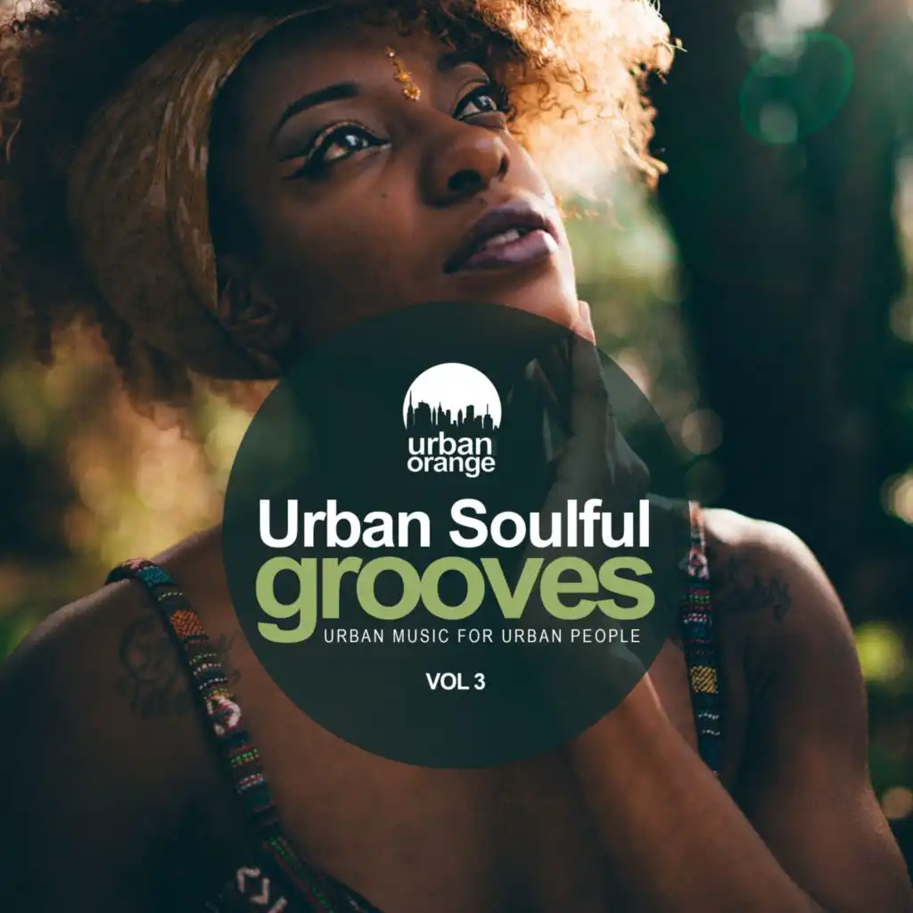 Urban Soulful Grooves, Vol. 3: Urban Music for Urban People