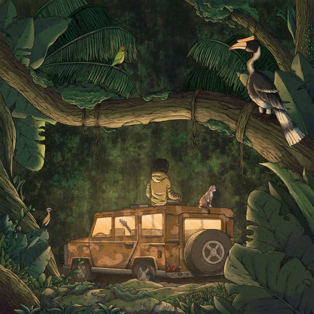 Rainforest