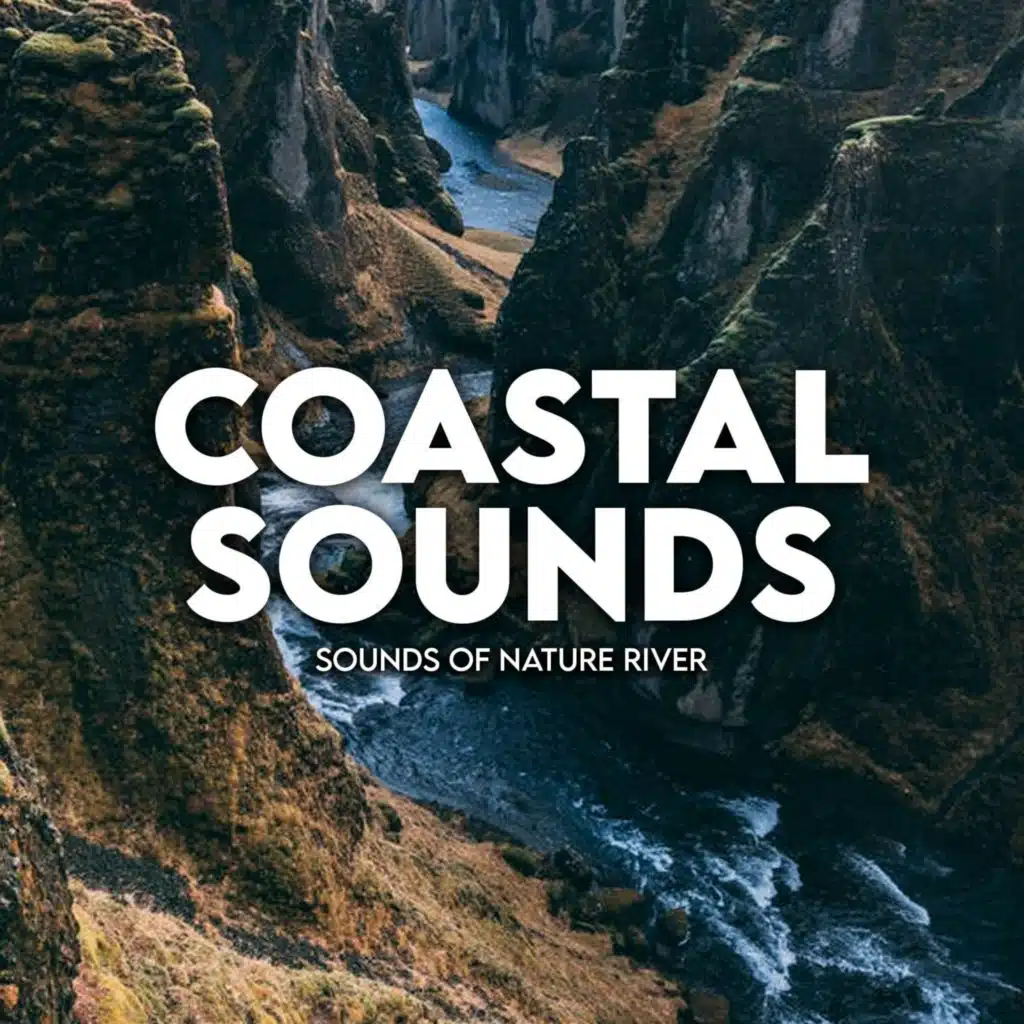 Sounds Of Nature River