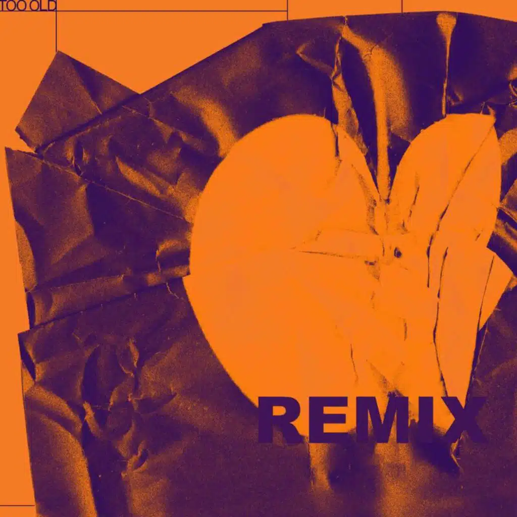 Too Old (SaraSara Remix)