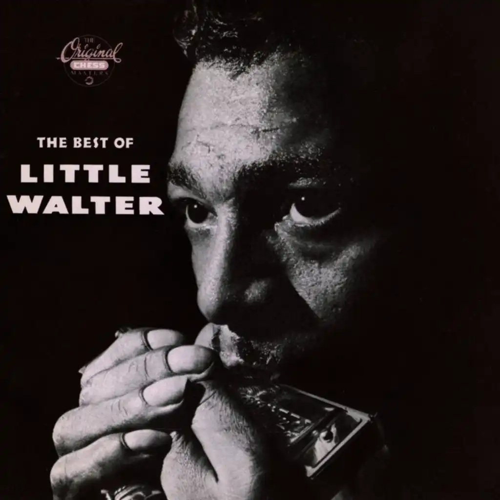 The Best Of Little Walter