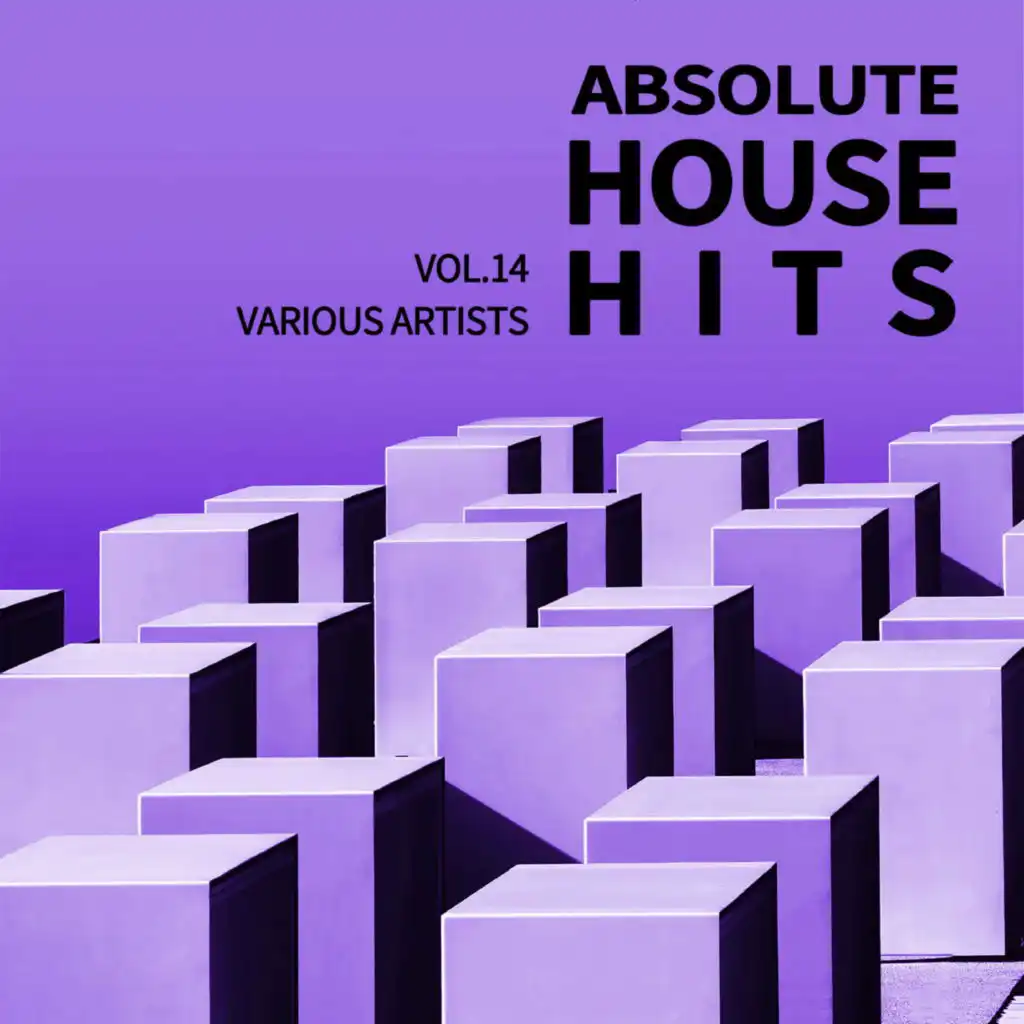 Various Artists - Absolute House Hits Vol.14