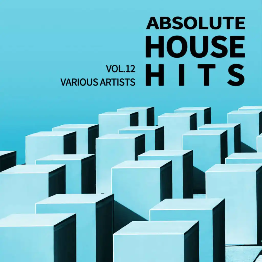 Various Artists - Absolute House Hits Vol.12