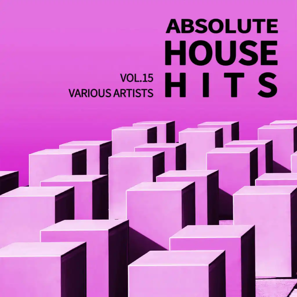 Various Artists - Absolute House Hits Vol.15