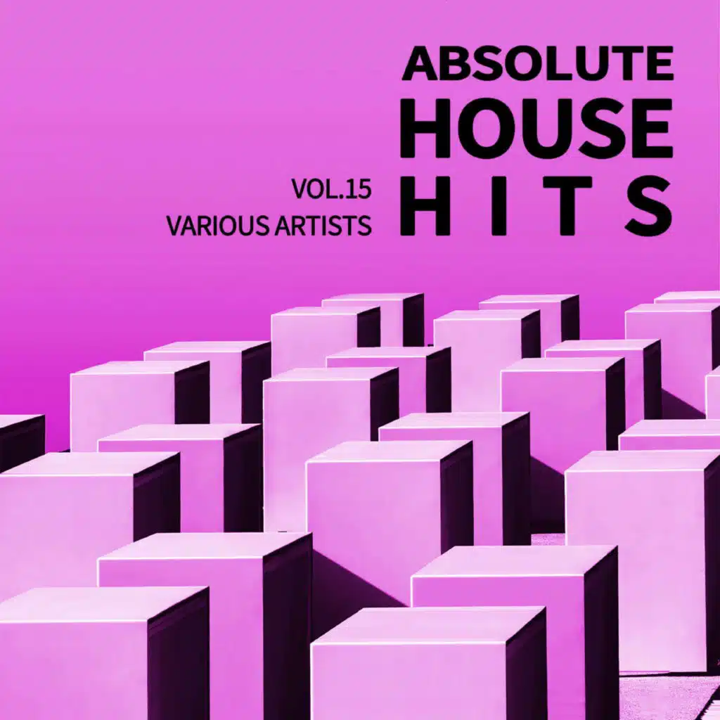 Various Artists - Absolute House Hits Vol.15