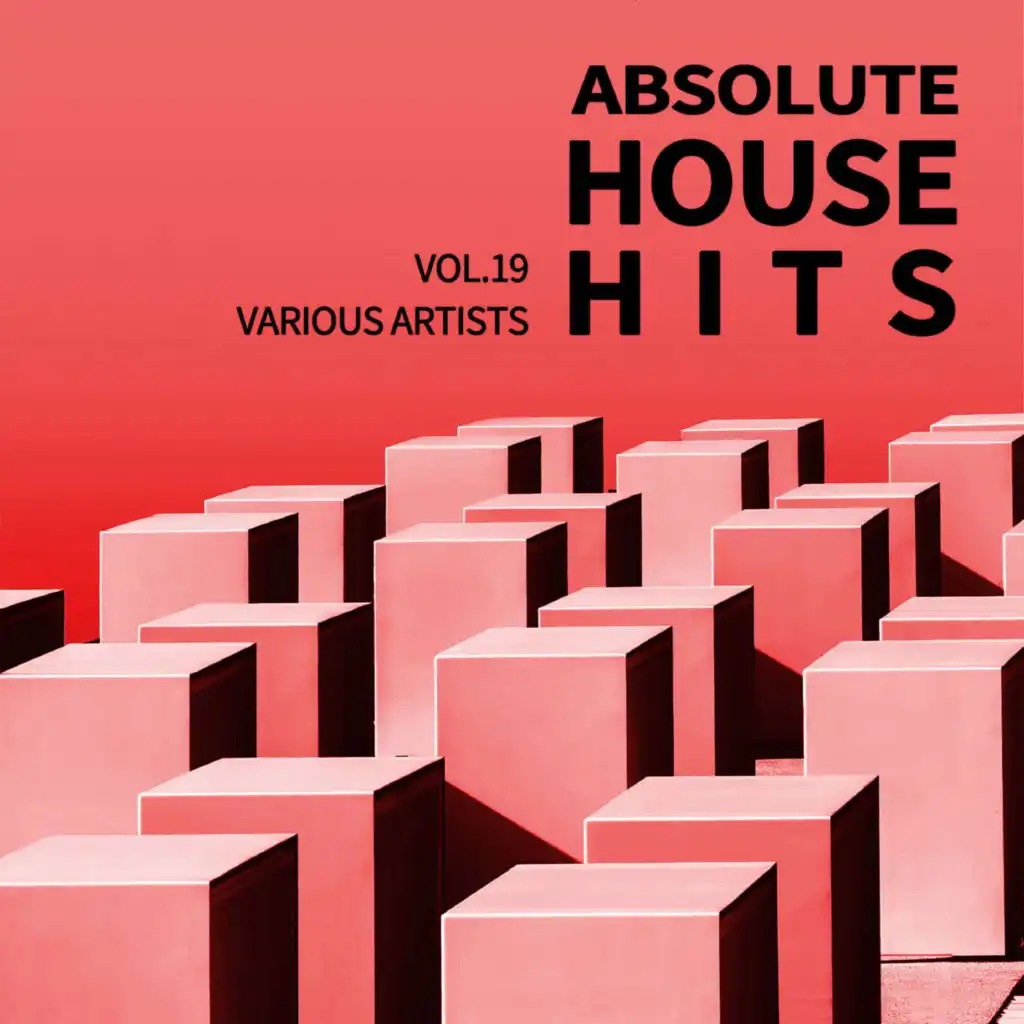 Various Artists - Absolute House Hits Vol.19