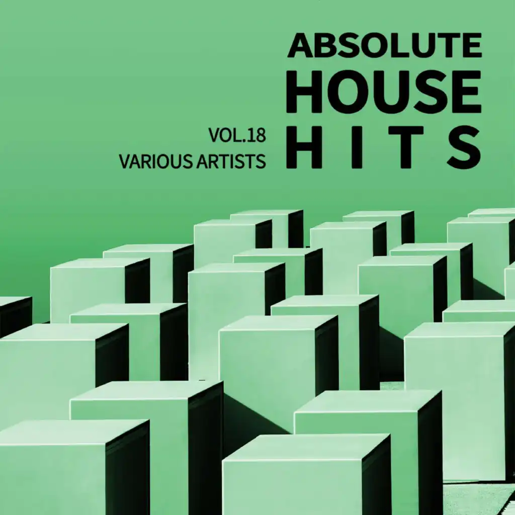 Various Artists - Absolute House Hits Vol.18