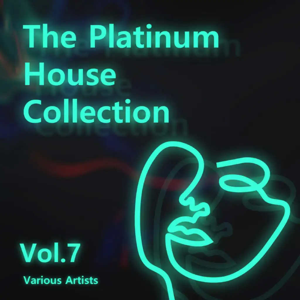 Various Artists - The Platinum House Collection Vol.7