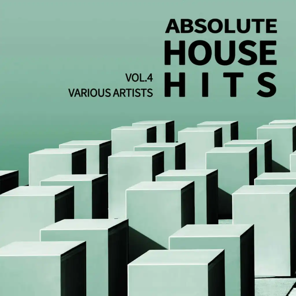 Various Artists - Absolute House Hits Vol.4