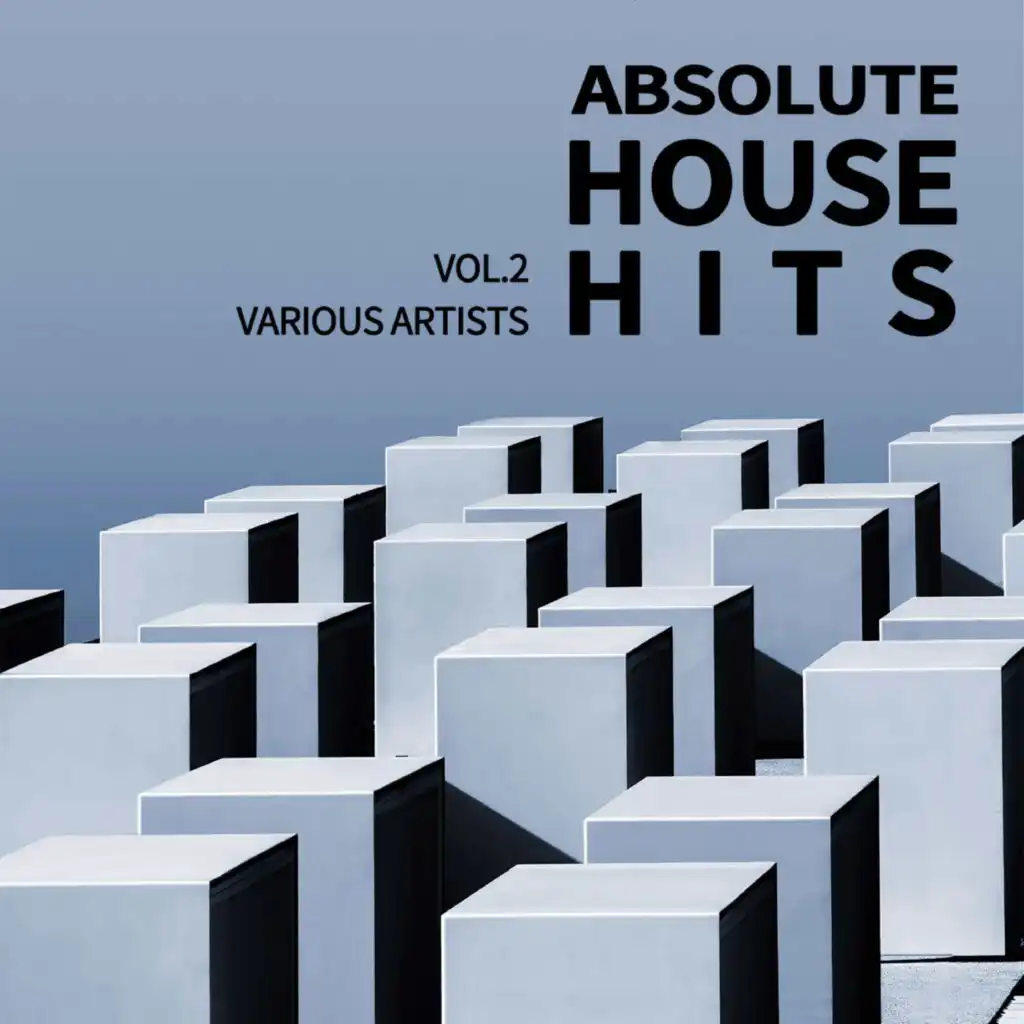 Various Artists - Absolute House Hits Vol.2