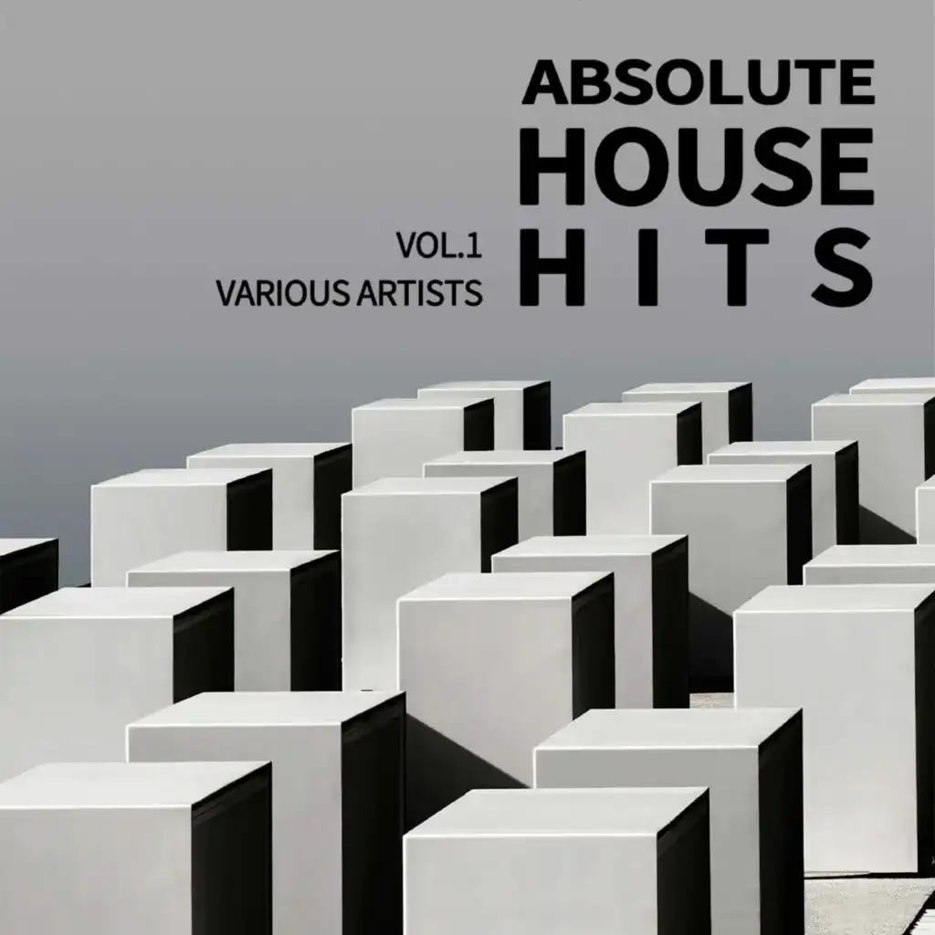 Various Artists - Absolute House Hits Vol.1