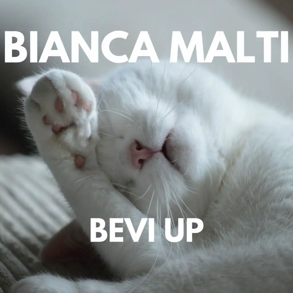 BEVI UP