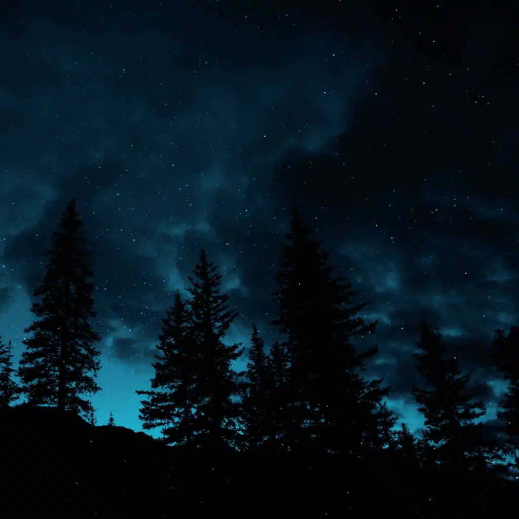 JERiCK iMAGE & €RN¢