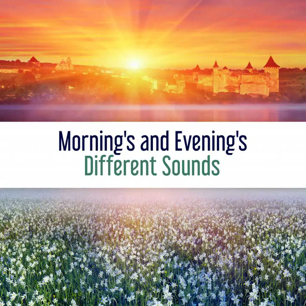 Morning's and Evening's Different Sounds